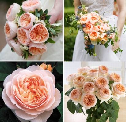 Juliet’s Rose Bouquet