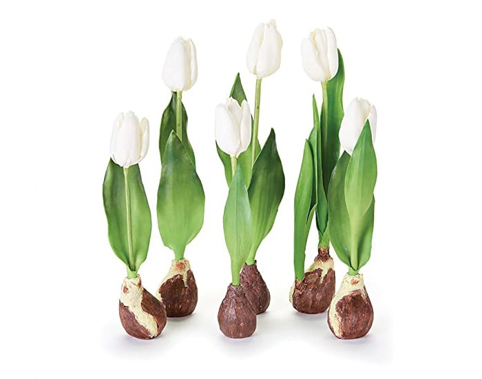 7 Most Expensive Flowers in the World Toronto Flora